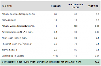 Abb. 2: Ausgabeformular mit Werten und Ci