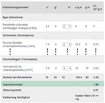 Abb. 3: Beispiel: Tabelle mit gefundenen Bioindikatoren