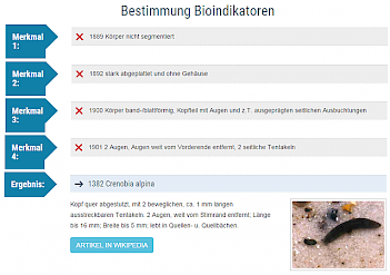 Beispiel für die Bestimmung eines Bioindikators