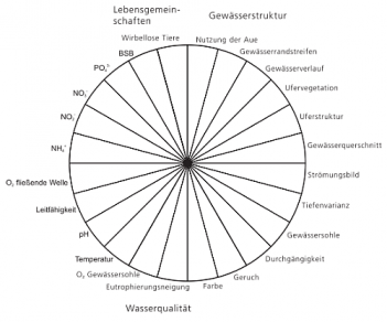 Abb. 1: Die „Bewertungssonne" des Formblattes M 6 (VDGS m. f. Genehmigung)