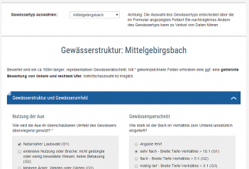 Abb. 1: Eingabe-Formular für die Bestimmung der Gewässerstruktur