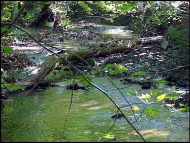 Richtung: bergauf