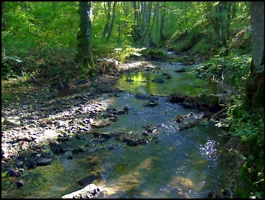 Richtung: bergauf