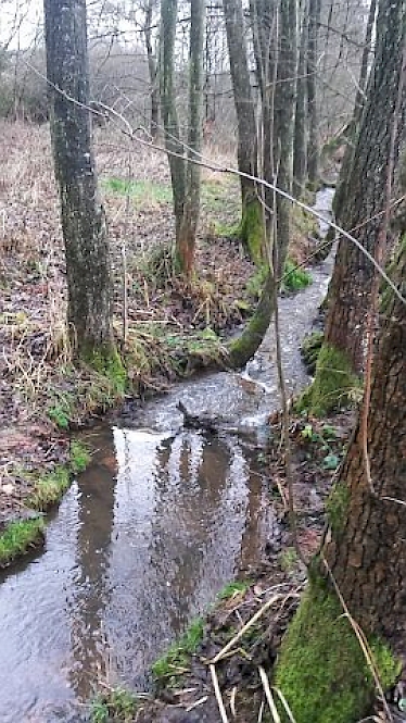 Richtung: flussabwärts