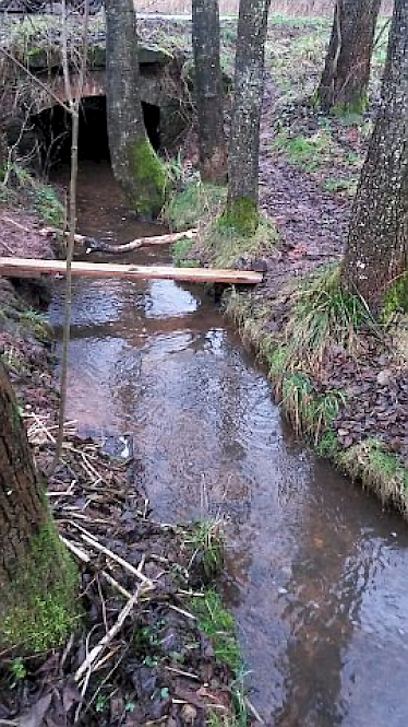 Richtung: flussaufwärts