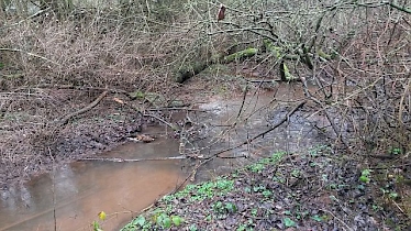 Richtung: flussabwärts