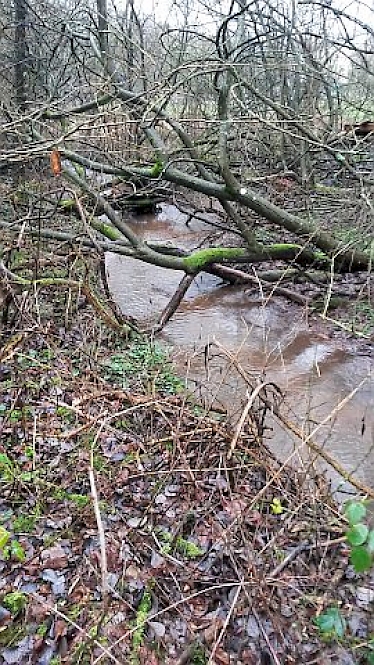 Richtung: flussaufwärts