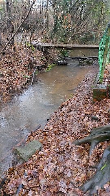 Richtung: flussaufwärts